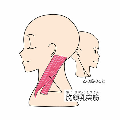 産後のお母様のお悩みに多い 「首コリ」